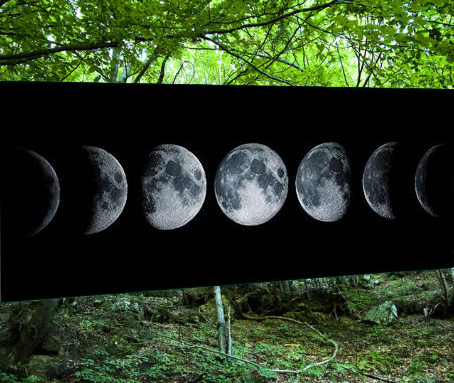 GIUGNO 2026 | Andare a Tartufi Fasi Lunari