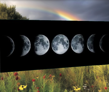 AGOSTO 2026 | Andare a Tartufi Fasi Lunari