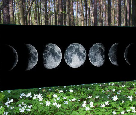 APRILE 2026 | Andare a Tartufi Fasi Lunari