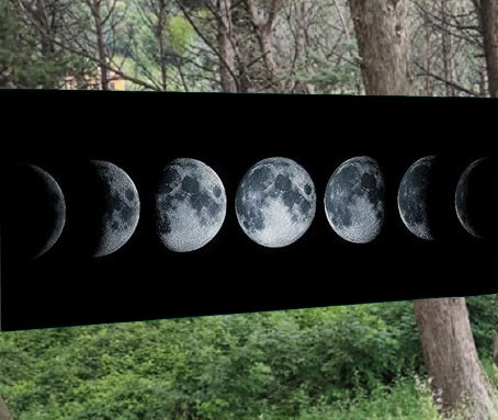 FEBBRAIO 2026 | Andare a Tartufi Fasi Lunari