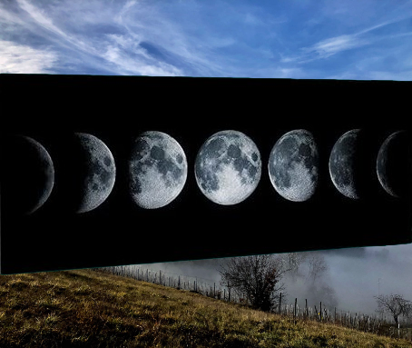 GENNAIO 2026 | Andare a Tartufi Fasi Lunari