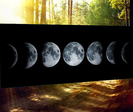 LUGLIO 2026 | Andare a Tartufi Fasi Lunari