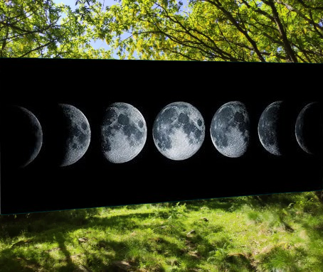 MAGGIO 2026 | Andare a Tartufi Fasi Lunari