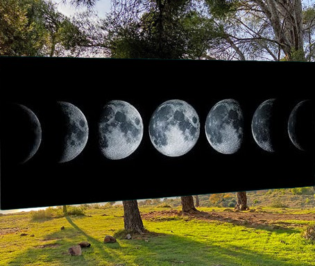 MARZO 2026 | Andare a Tartufi Fasi Lunari