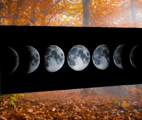 NOVEMBRE 2026 | Andare a Tartufi Fasi Lunari