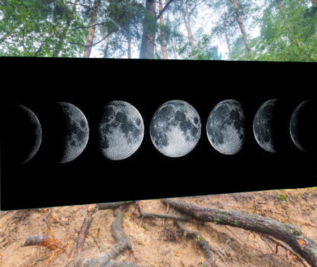 OTTOBRE 2026 | Andare a Tartufi Fasi Lunari