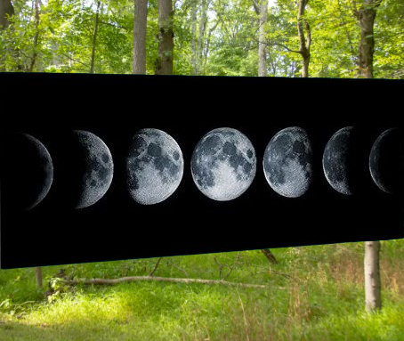 SETTEMBRE 2026 | Andare a Tartufi Fasi Lunari