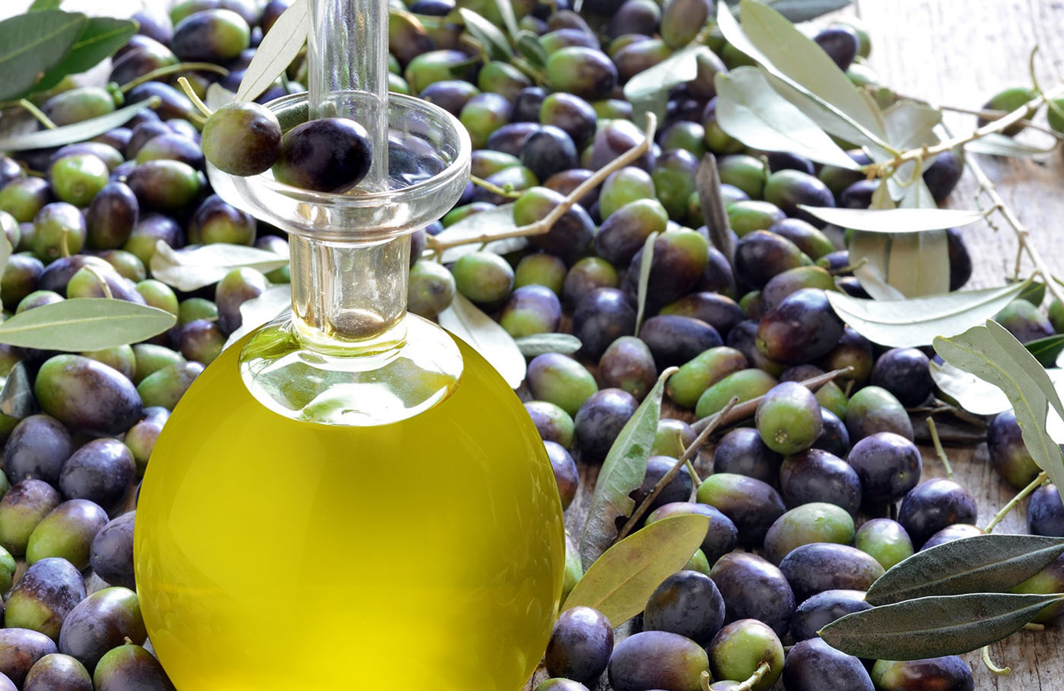 Poggio Mirteto celebra tartufo e olio evo nel weekend – IlTerritorio.net